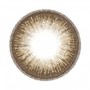 FLANMY Dark Mocha 10片裝